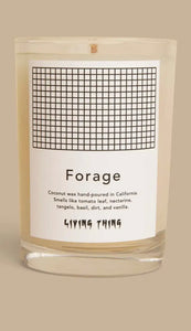 Living Thing candles