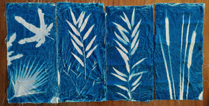 Cyanotype workshop