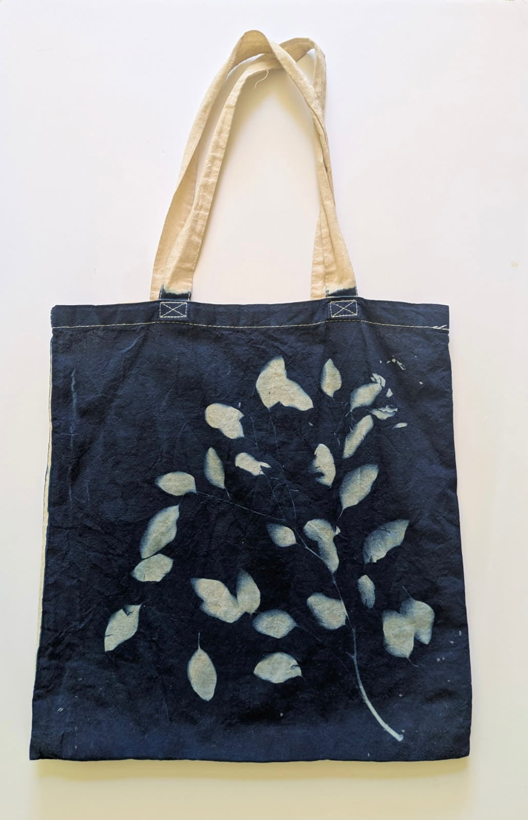 Cyanotype workshop
