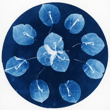 Load image into Gallery viewer, Introduction to Cyanotype Workshop-SOLD OUT

